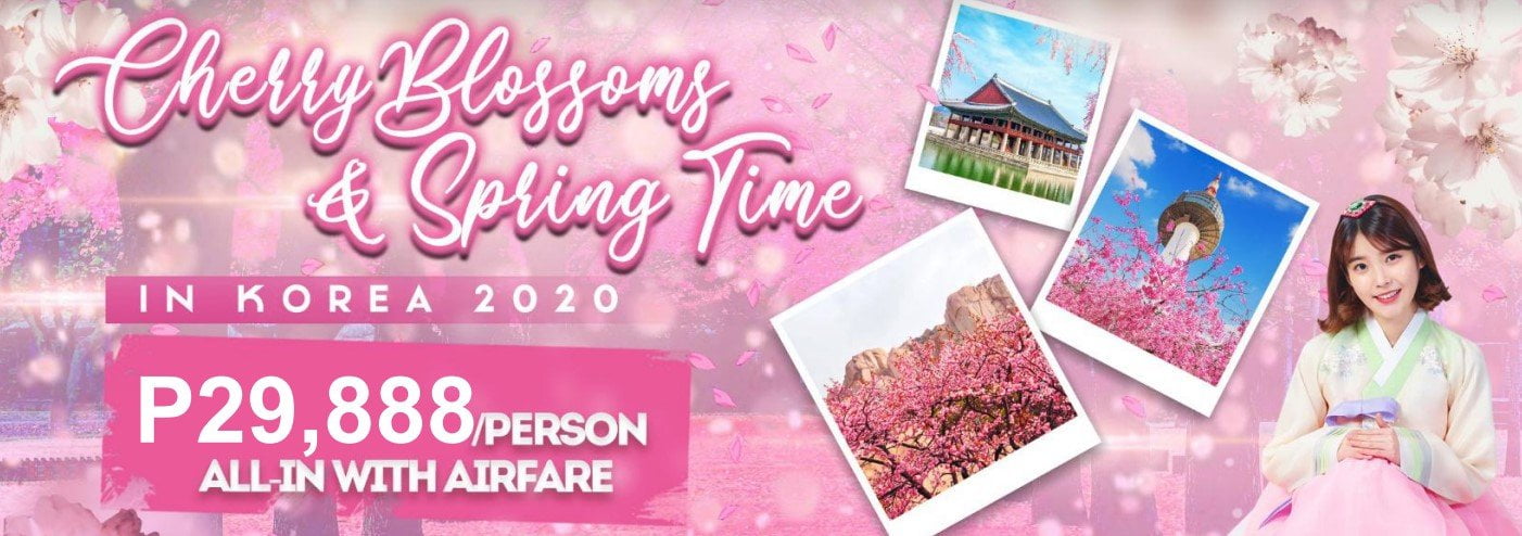 Experience Cherry Blossoms and Spring Time in Korea this 2020 + Itinerary Idea