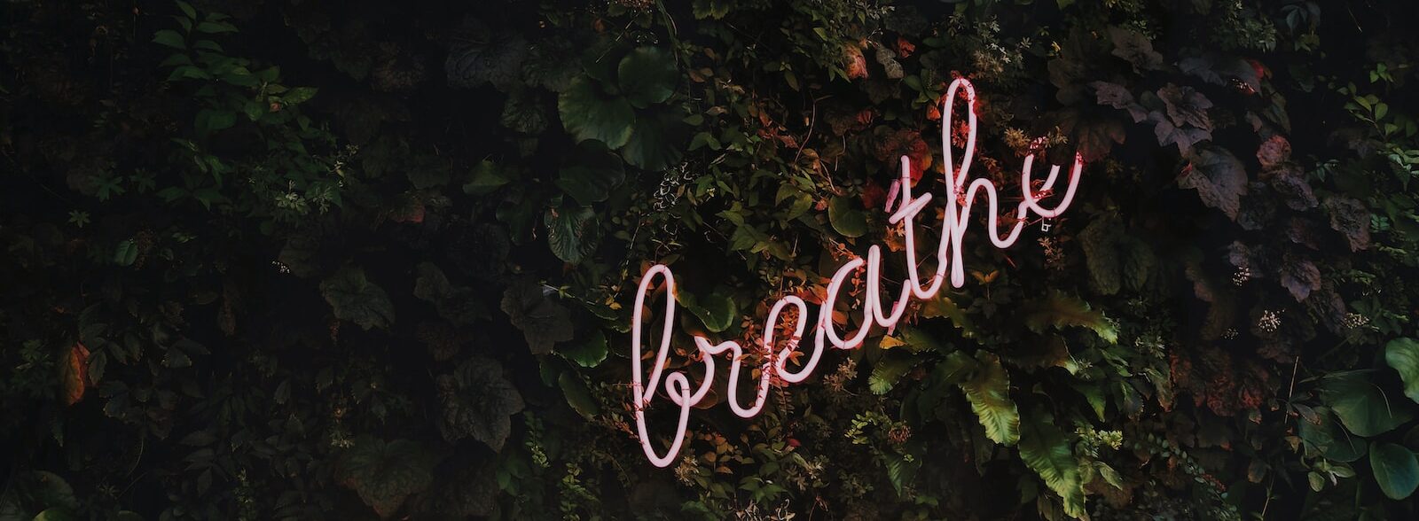 Breathe neon signage
